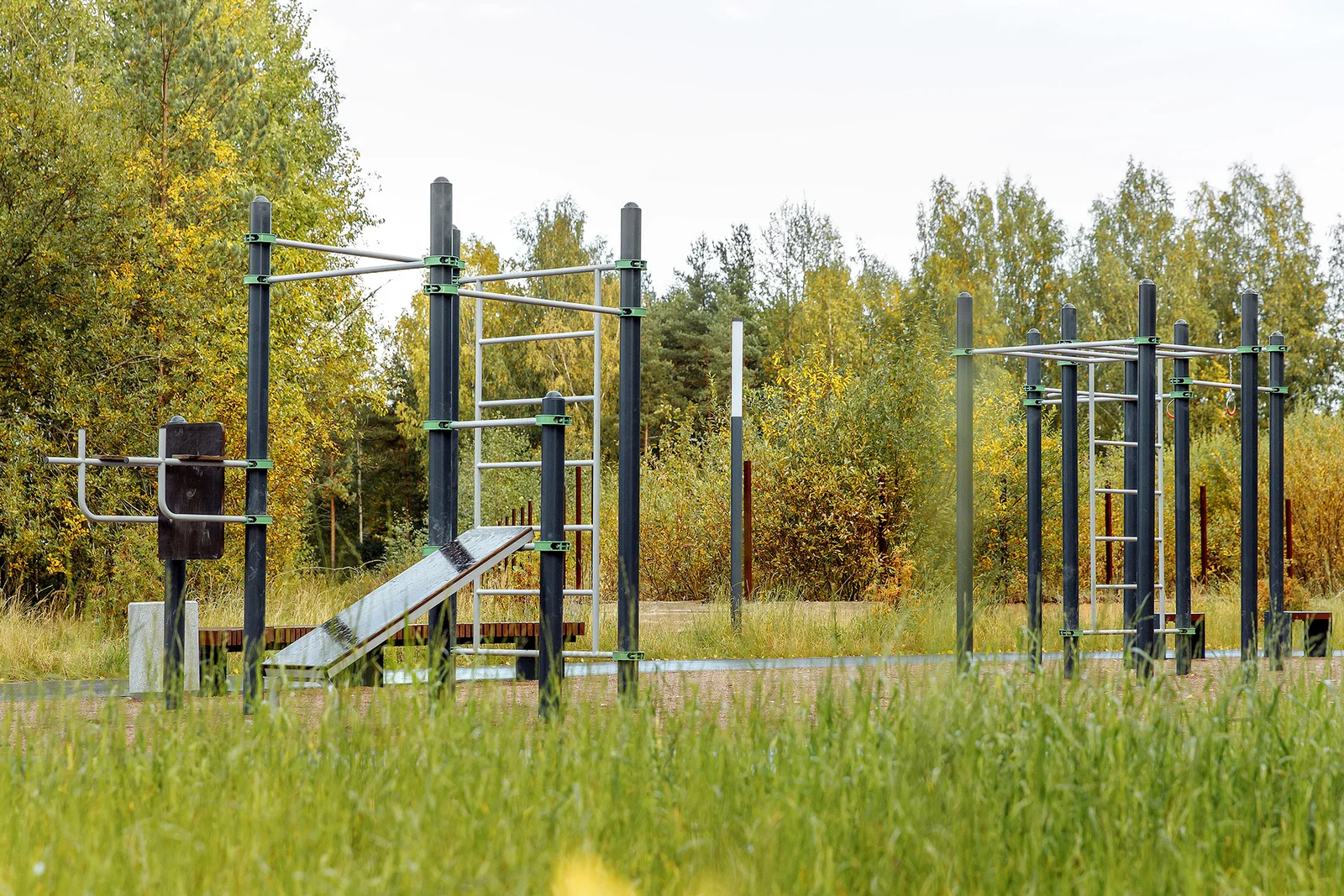 Budogoshch Park Improvement