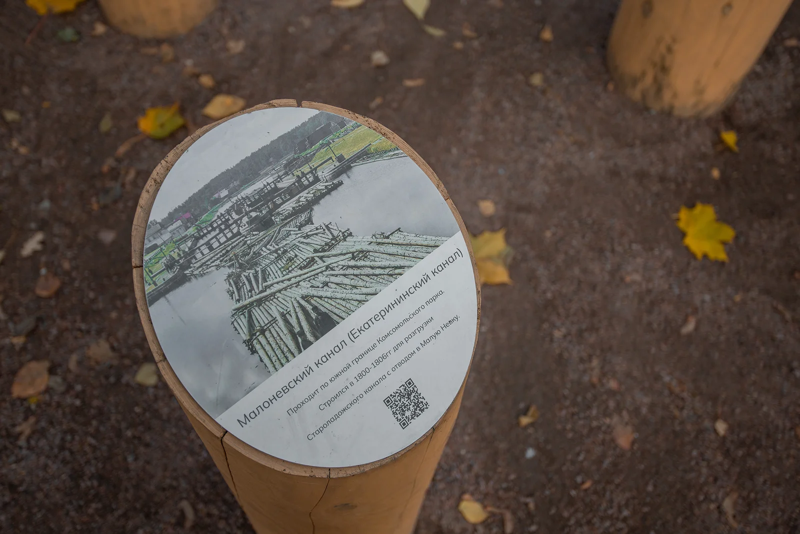 Shlisselburg Park Improvement