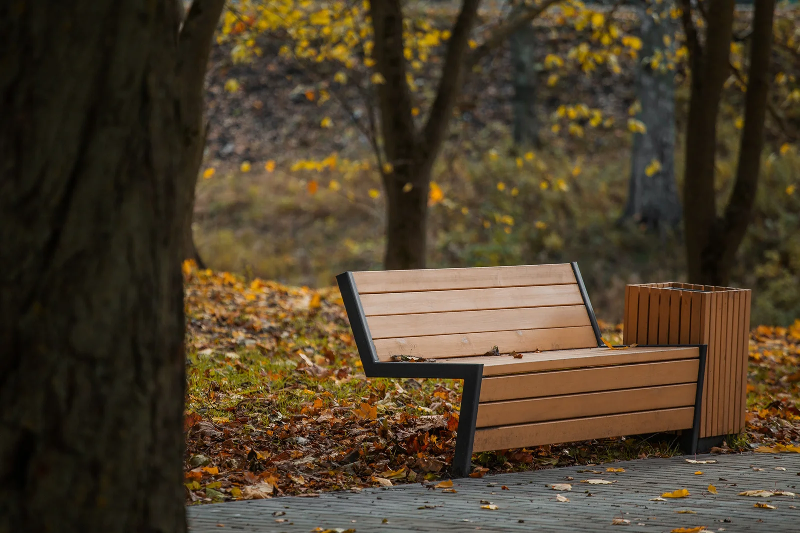 Shlisselburg Park Improvement